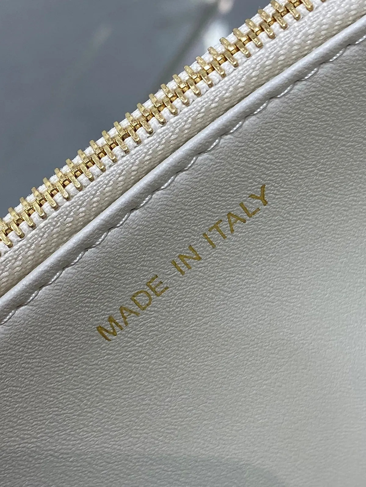 Sac Dior Miss Caro Mini